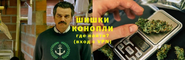 мдпв Богданович