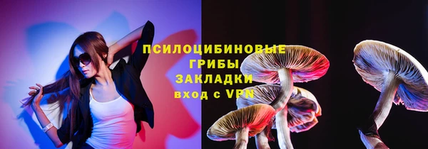 мдпв Богданович