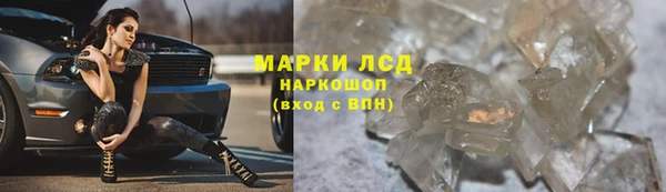 СК Богородск