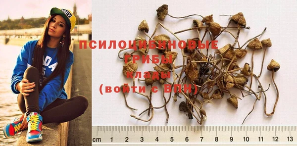 скорость Богородицк