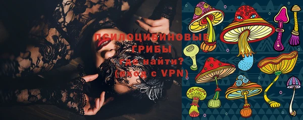 мдпв Богданович