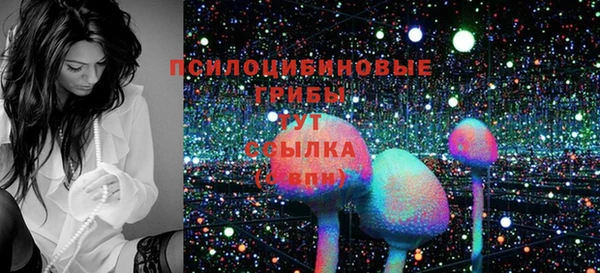 мдпв Богданович