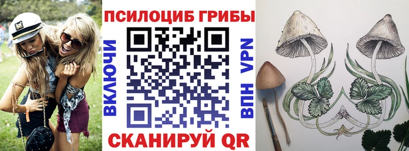 Галлюциногенные грибы Cubensis  Шумерля 